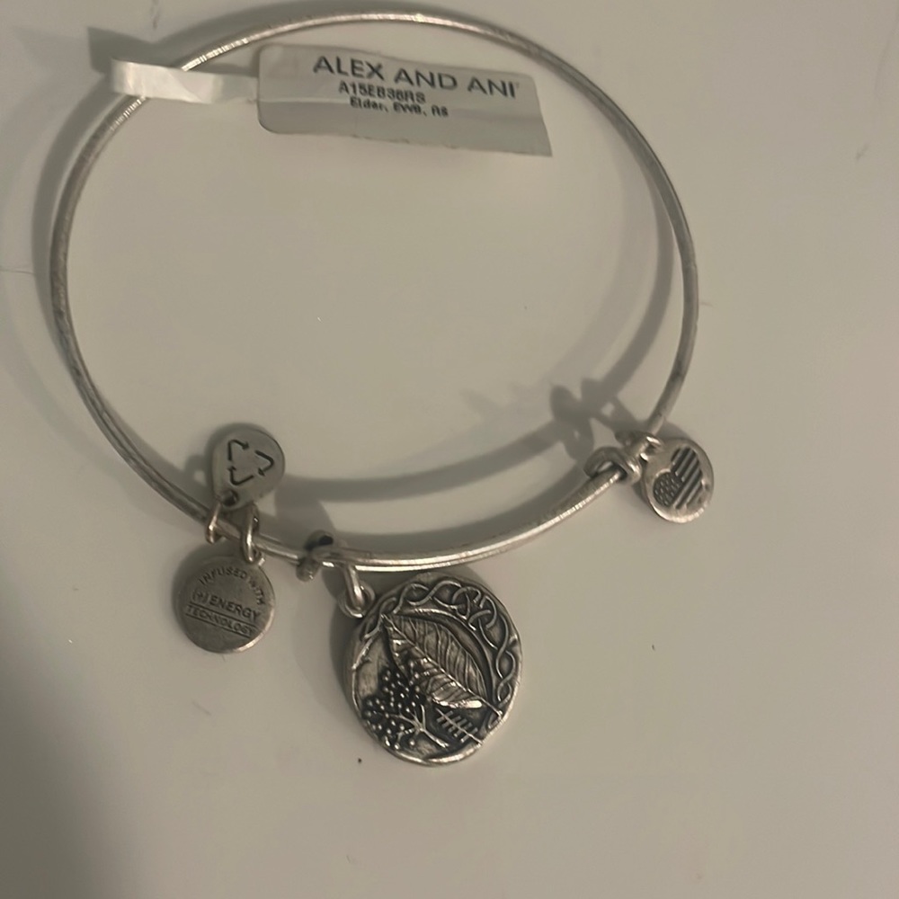 Alex and Ani Silver Bracelet - Picture 1 of 3